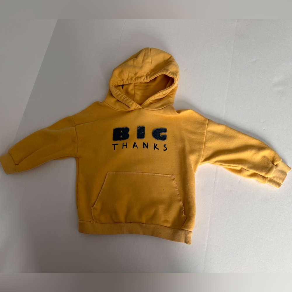 Zara Baby Boys Hoodie 18-24M Pre-Owned